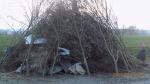 DSCN0043.JPG